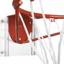 Cheap 🌟 Bison Removable Anywhere Goal ✔️