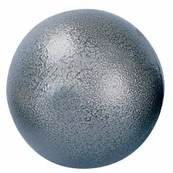 Best reviews of 🤩 Champion Sports Champion 8 Lbs Cast Iron Practice Shot Put ✔️