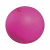 Coupon ✔️ Trial 3-3/10 Pounds Practice Shot Put, Pink 💯 -Park and Sun Sports® - shop 008542 A ecommfullsize
