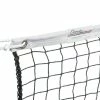 Cheap ✨ Champion Sports Champion Badminton Net, 20 X 2-1/2 Feet 🛒 -Park and Sun Sports® - shop 008971 ecommfullsize