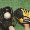 Best Pirce 🛒 Sportime Yeller Right-Handed Thrower ⚾ Baseball Glove, Adult, Ages 16 And Up 🥰 -Park and Sun Sports® - shop 087977 ecommfullsize 3