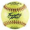 Best deal 😉 Dudley NFHS Thunder Heat Leather Fast Pitch 🥎 Softball, 12 Inches, Neon Yellow ✨ -Park and Sun Sports® - shop 1404008 ecommfullsize