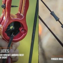 Deals โ Bear Archery Bear Flash Bow, Youth, 47 Inches Long, Red ๐ 8 Deals โ Bear Archery Bear Flash Bow, Youth, 47 Inches Long, Red ๐ -Park and Sun Sportsยฎ - shop 1592959 D ecommfullsize